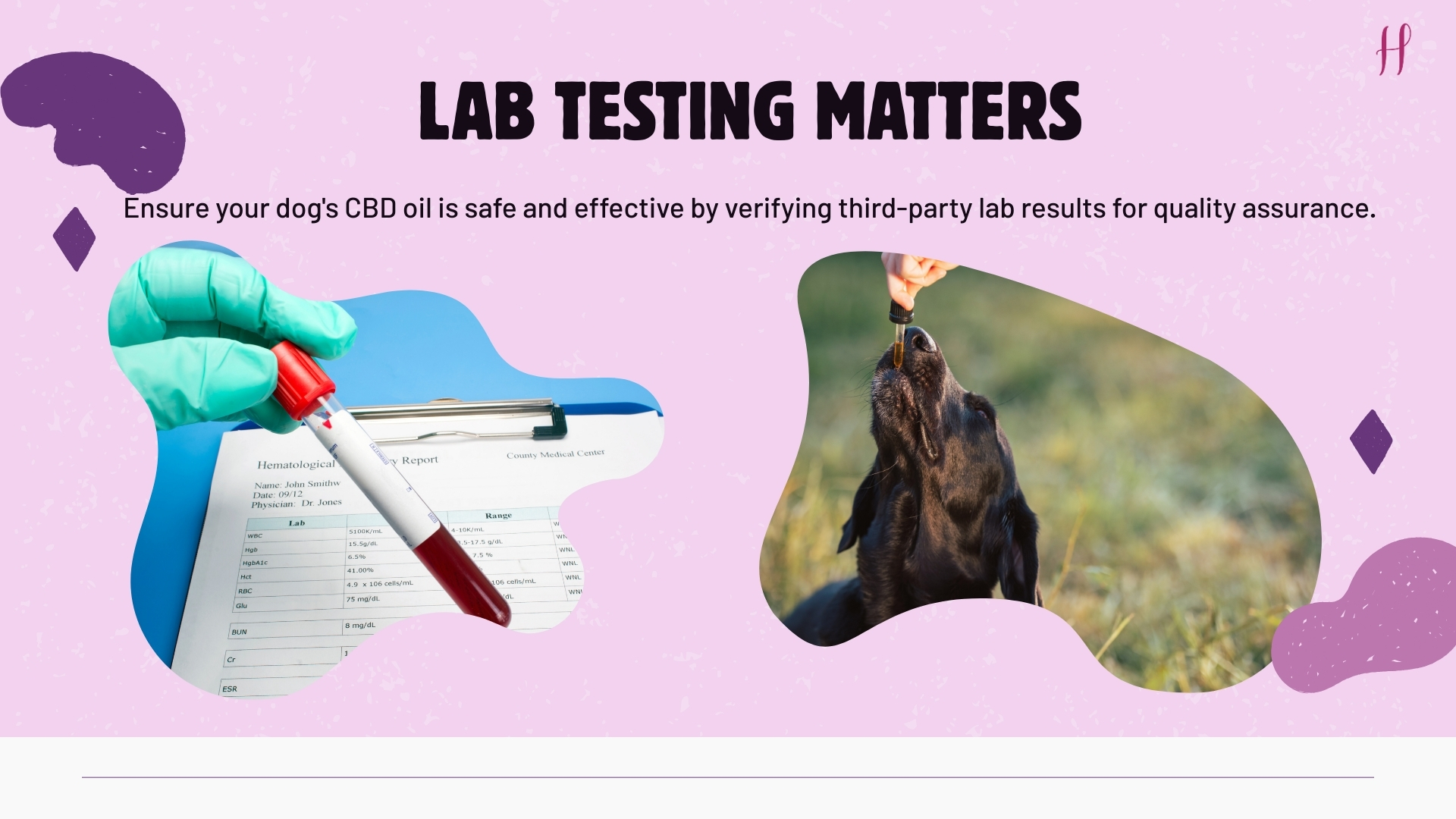 buy cbd oil for dogs